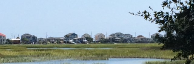 Judy Broach banner