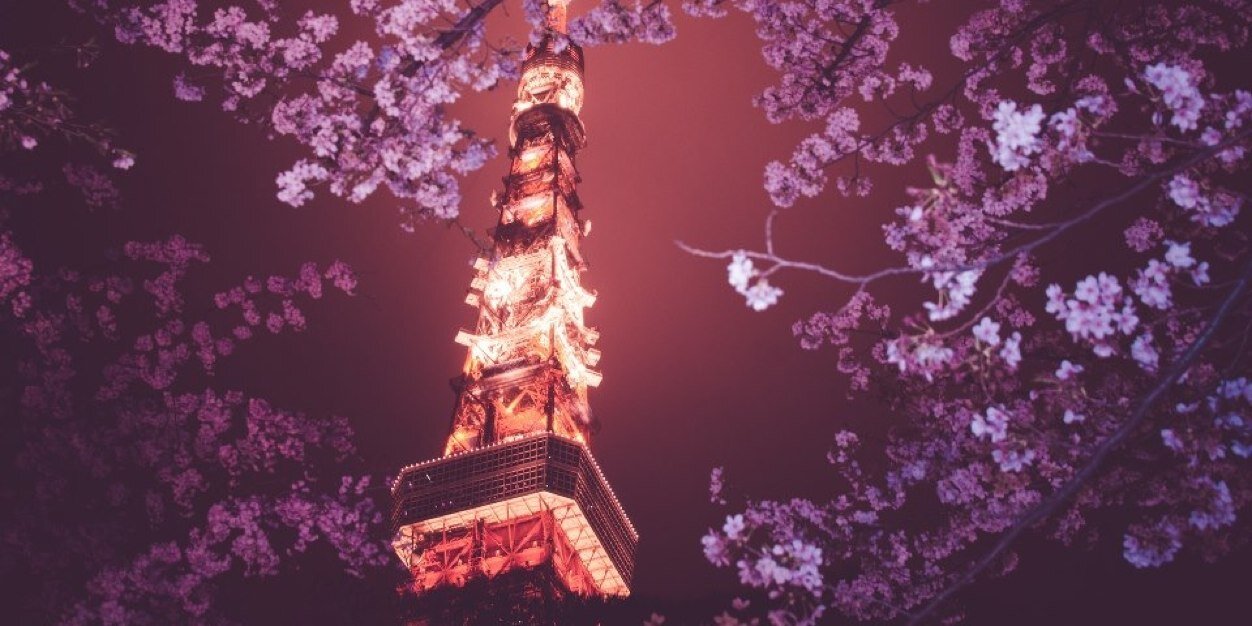 Kendra Marr, MD PhD banner