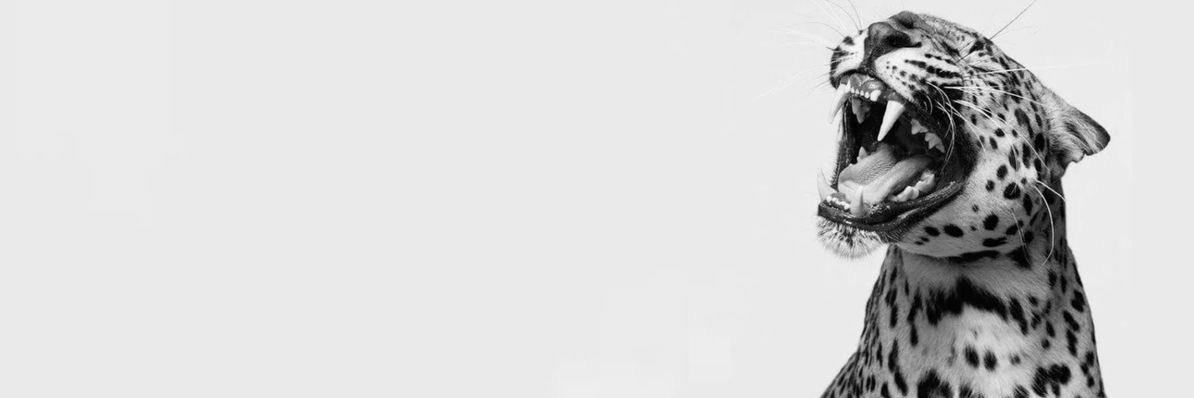 _anitadg's profile banner image
