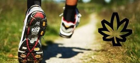 420CrossCountry's profile banner image
