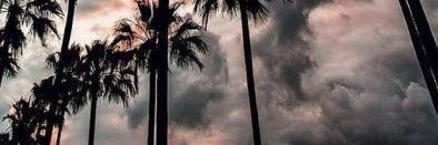 06_johnsons's profile banner image