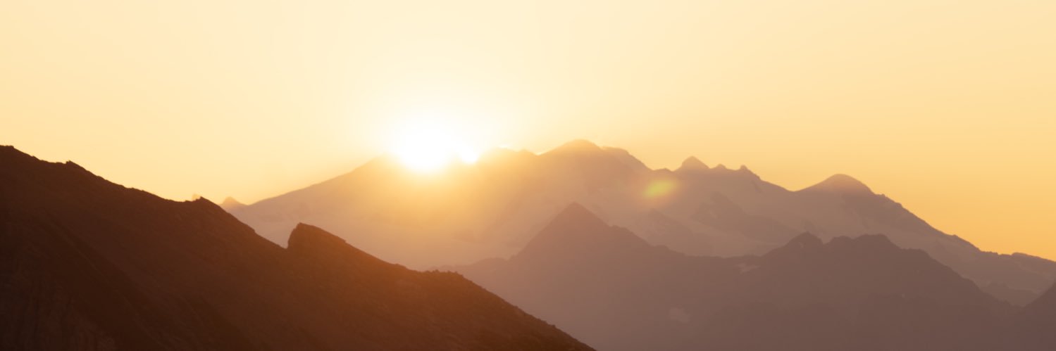 Sylvakin's profile banner image