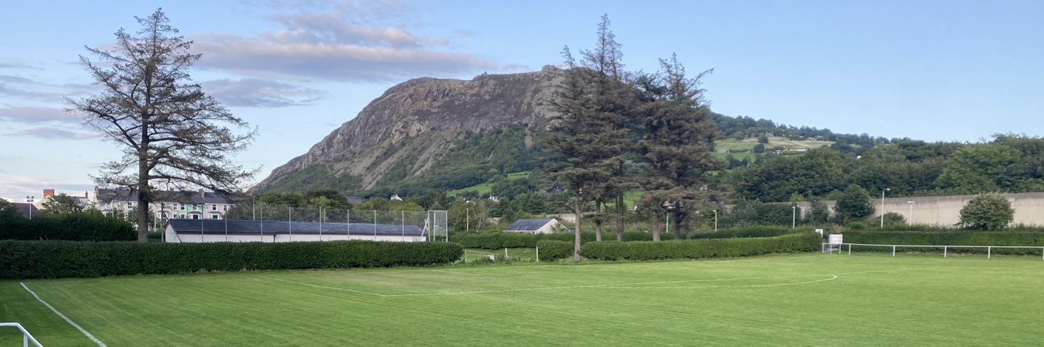 Dewi Williams banner