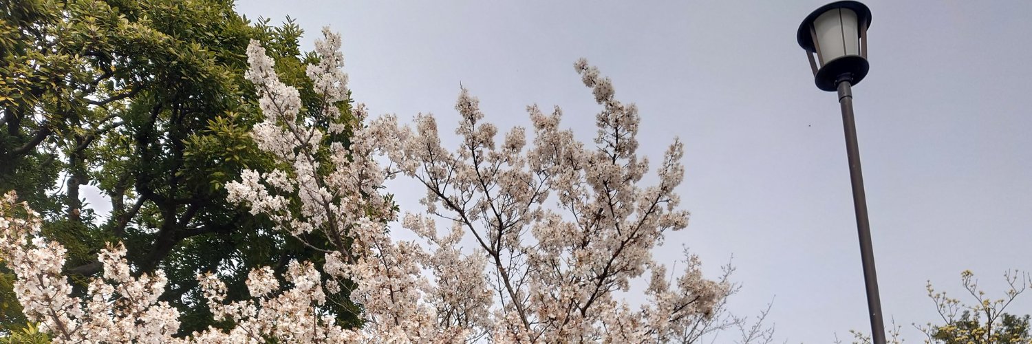 yamakei_cc2's profile banner image