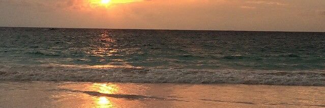 lu_Dallas's profile banner image