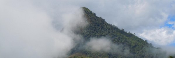 enablelanguages Profile Banner