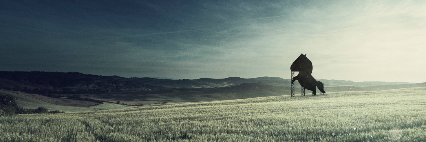 Wild Pony banner