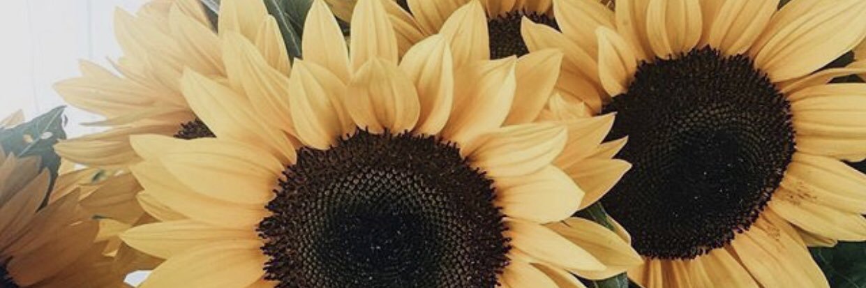 BrookeNimetz1's profile banner image