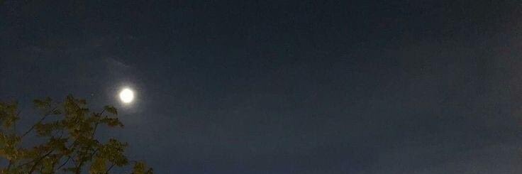 k_pop_god's profile banner image