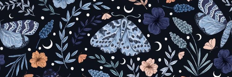 Emily_Peer's profile banner image