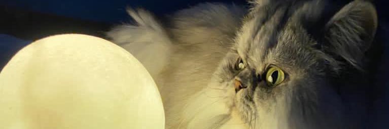 ilker güldalı banner