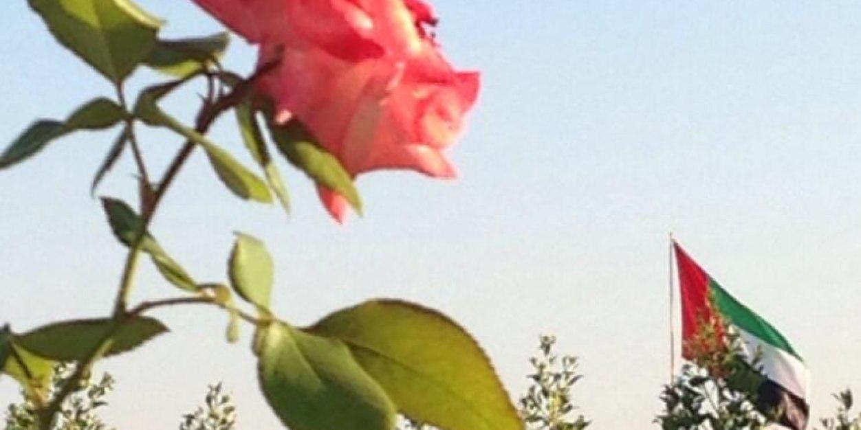 S186186's profile banner image