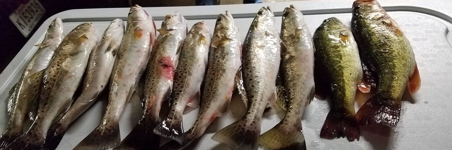 Jason Tamplet banner