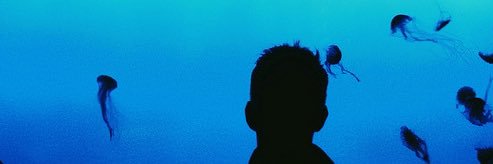 uafan08's profile banner image