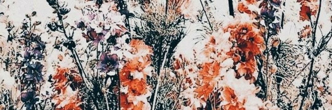 Mikeeela22's profile banner image