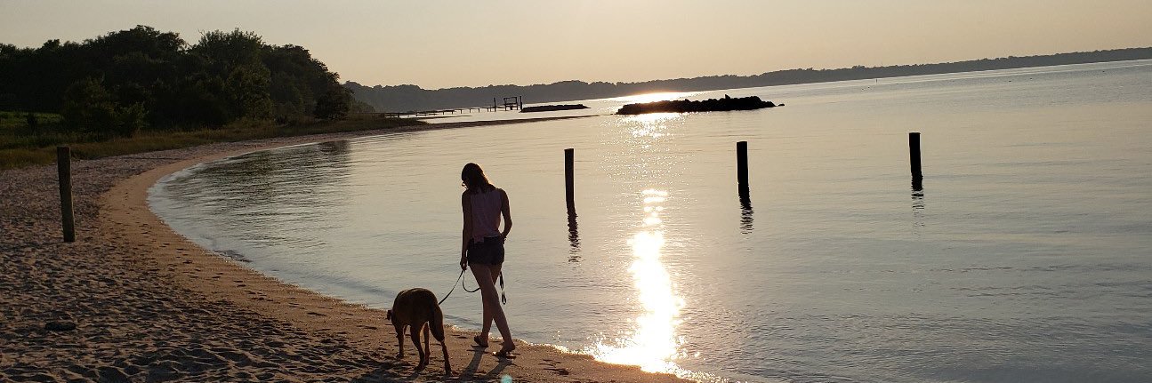 chels_carr's profile banner image