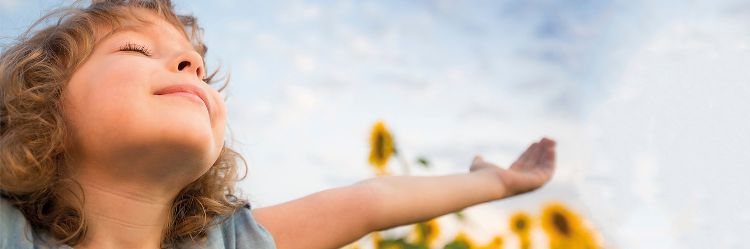 Siber Ventilación banner