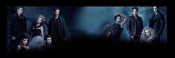 Vampire.Diaries.2013 banner