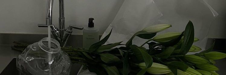 BellaWhite24's profile banner image