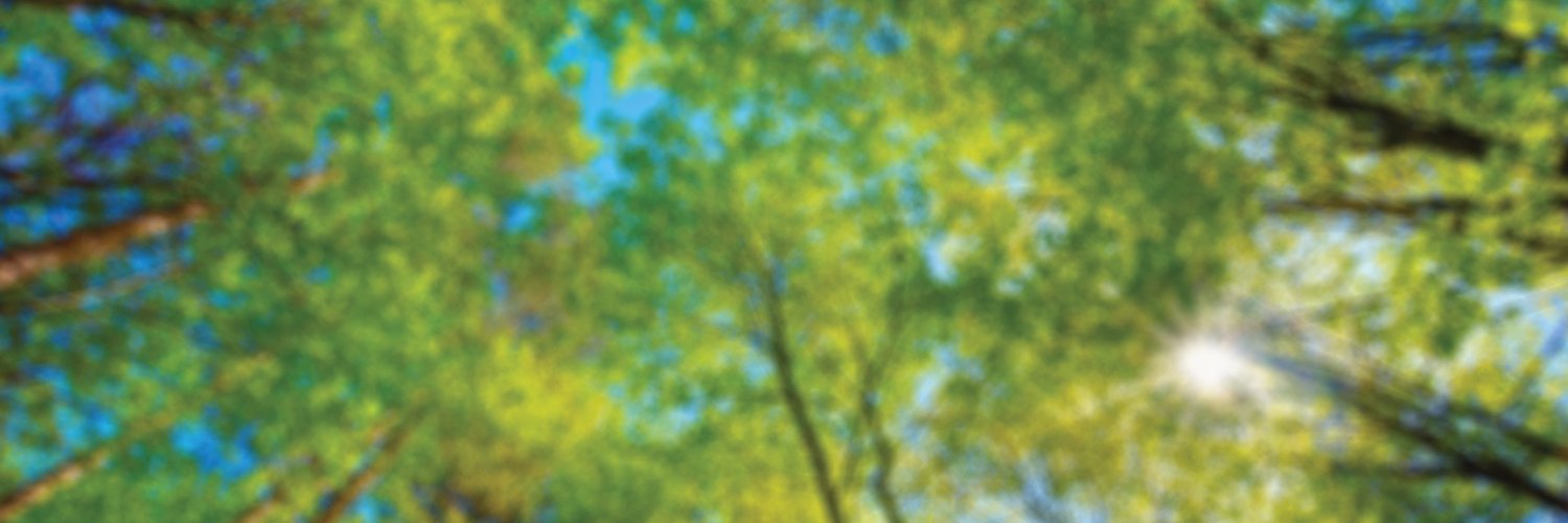 TheWoodsDigital's profile banner image