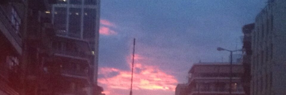 Leef banner