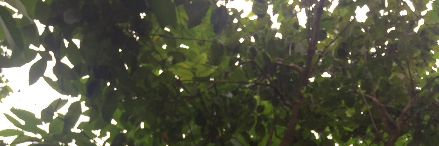 PriyaAbraham_'s profile banner image