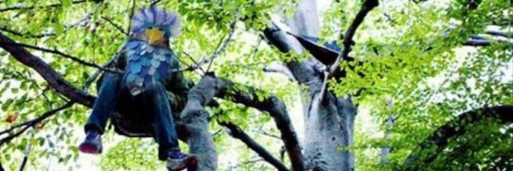 lifesetback's profile banner image