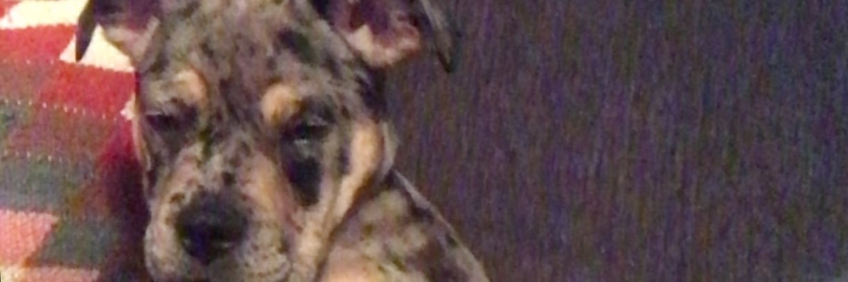 Robertbrewer23's profile banner image