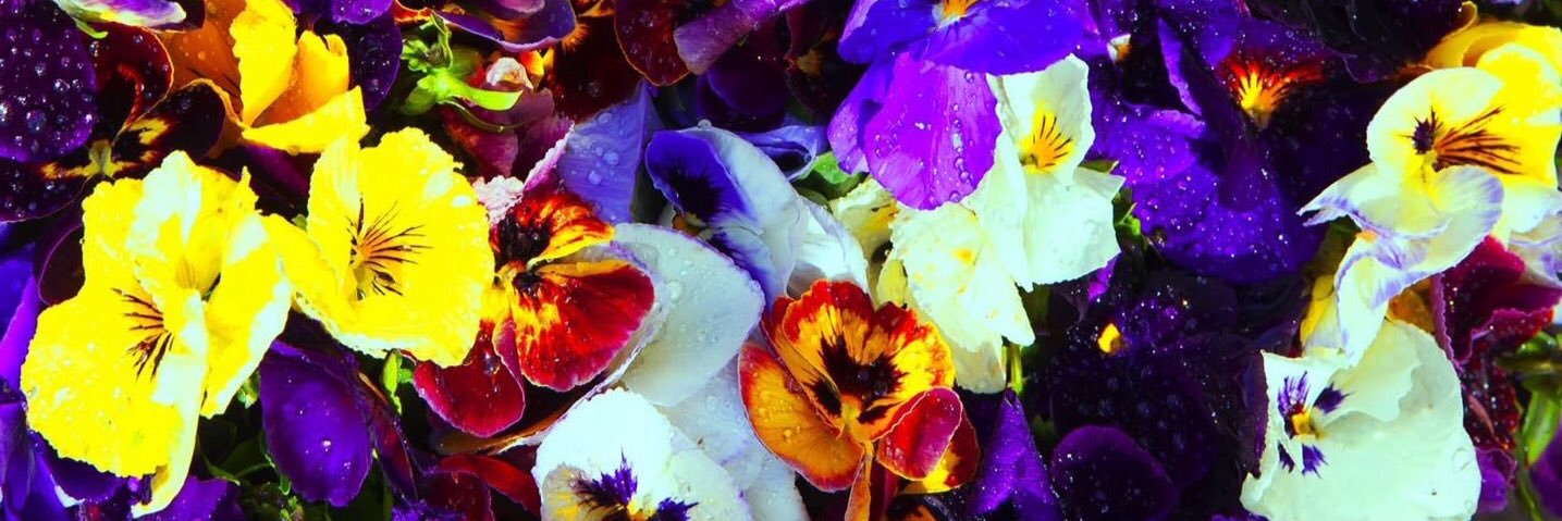 heatheriddle's profile banner image