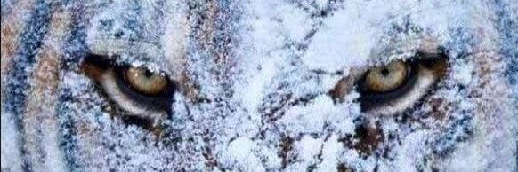 TheWaterBoy26's profile banner image