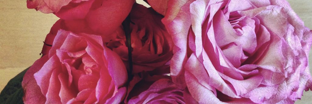 Atsuko Fukui banner