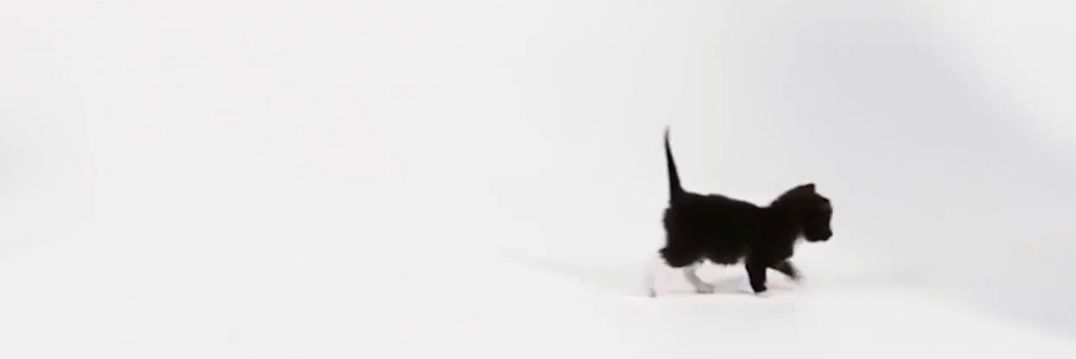emekkarakas's profile banner image