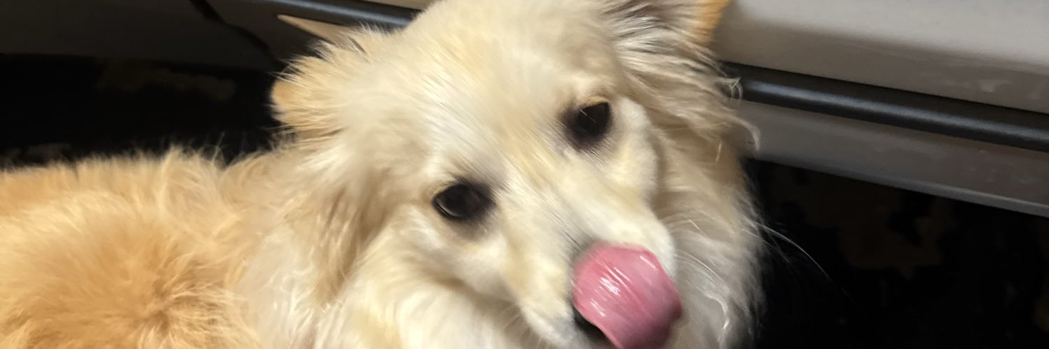 RawDogAug's profile banner image