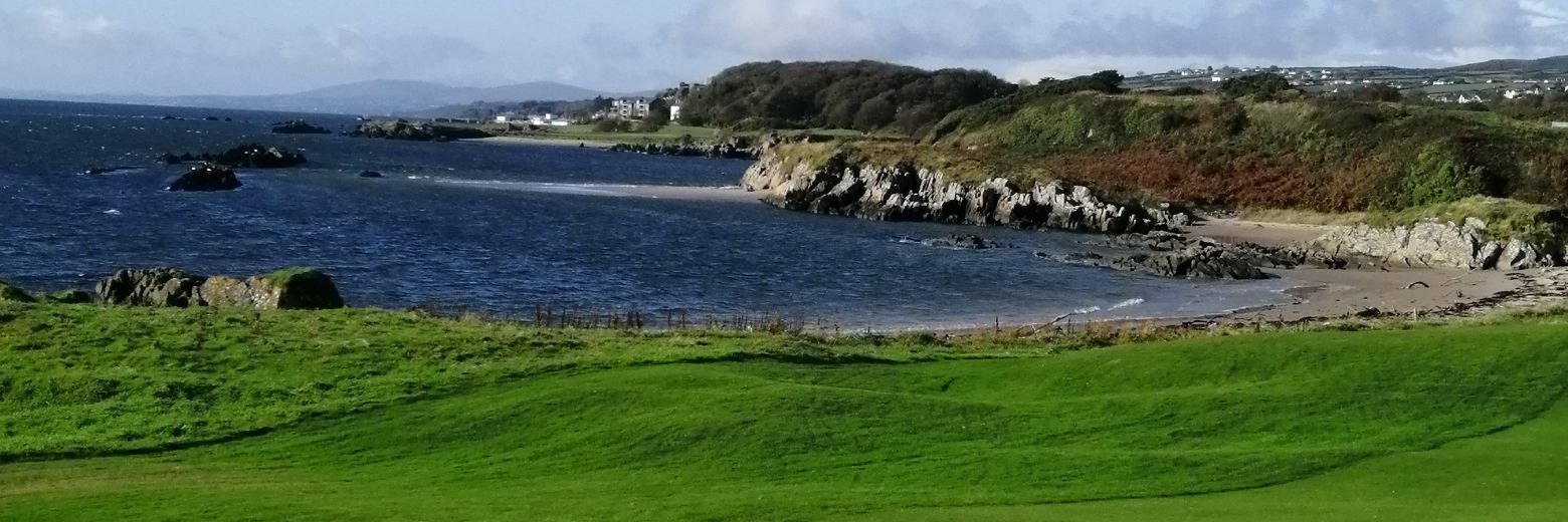 weedoherty's profile banner image