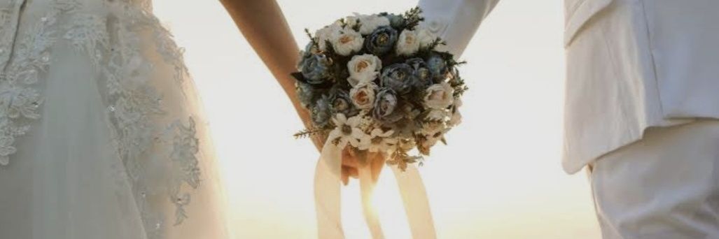 Sonia C. banner