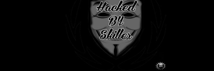 SkillerHW's profile banner image
