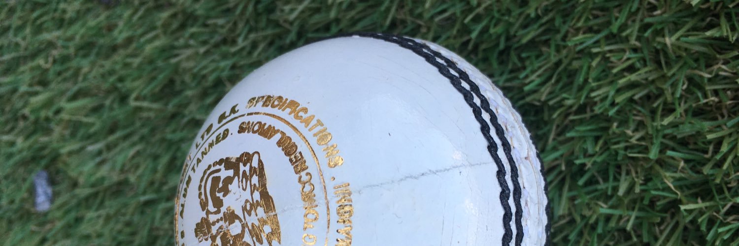 Wanderers Irregulars banner