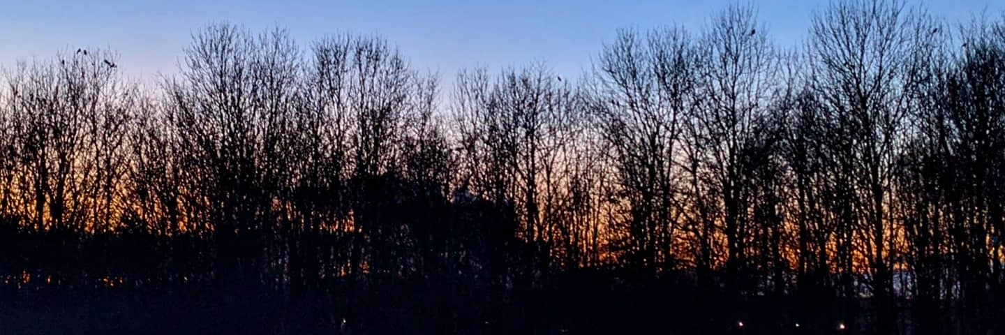 Jack Phillips banner