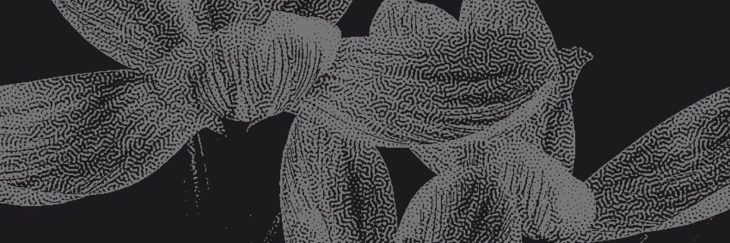 DAO Maximalist ☯🏴🦇🔊 banner