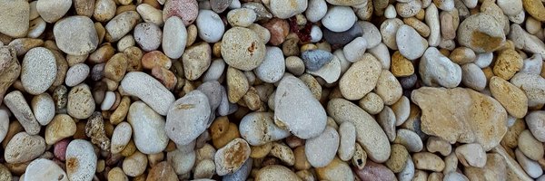 andre_bonello Profile Banner