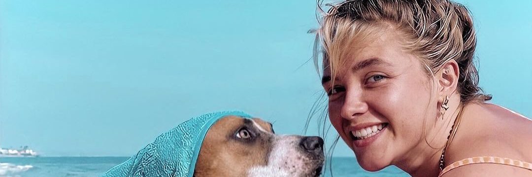 Cole Gregory banner