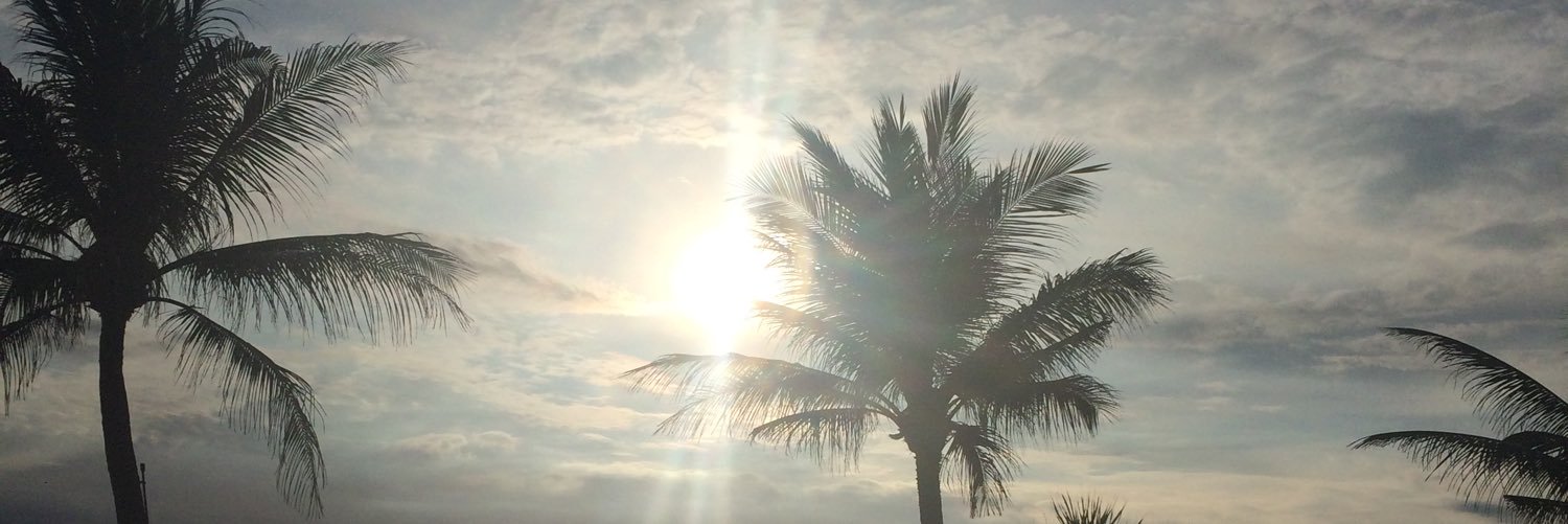 Robyn Methven banner