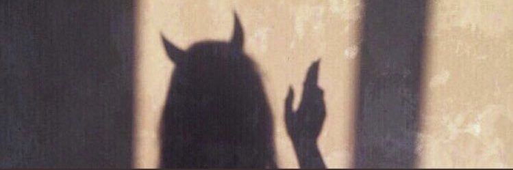 janizzzle's profile banner image