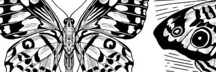 _endlessly__'s profile banner image