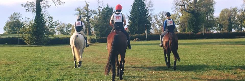 nicole_maynard_'s profile banner image