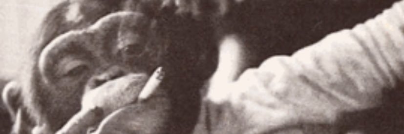 TylerUrich's profile banner image