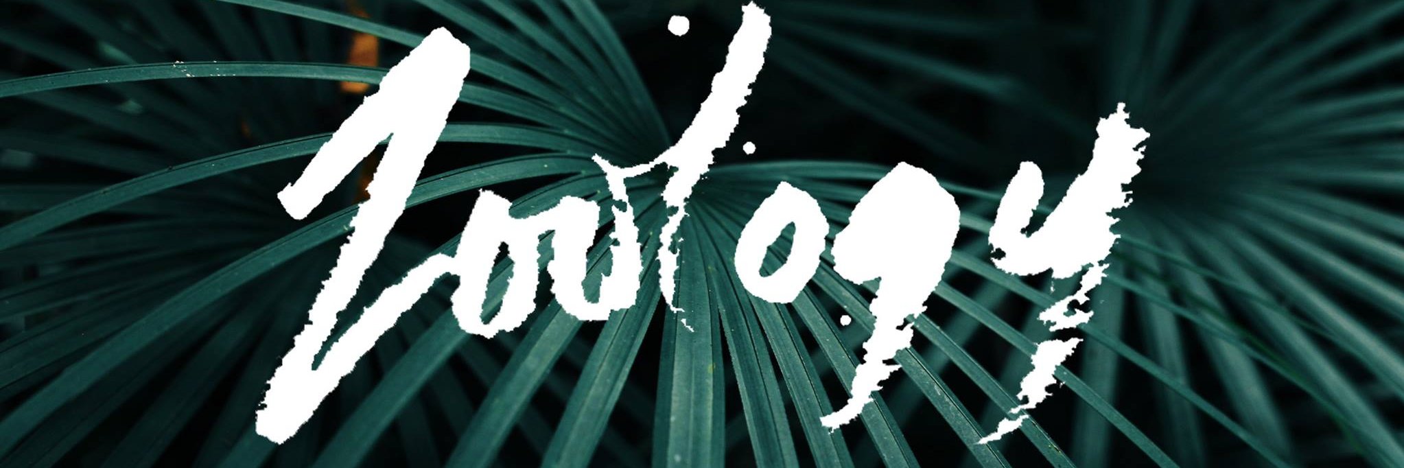 Twitter banner for @zoology