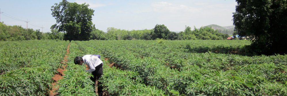 VANDERSCHUREN LAB banner