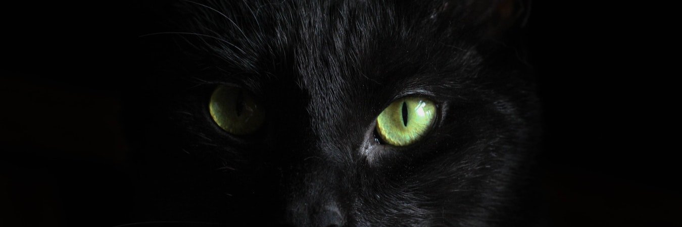 fakhriAudi's profile banner image