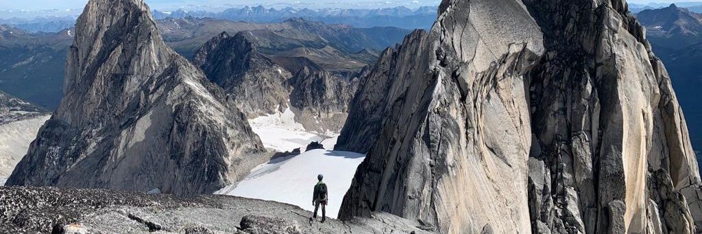 Tom Codrington banner